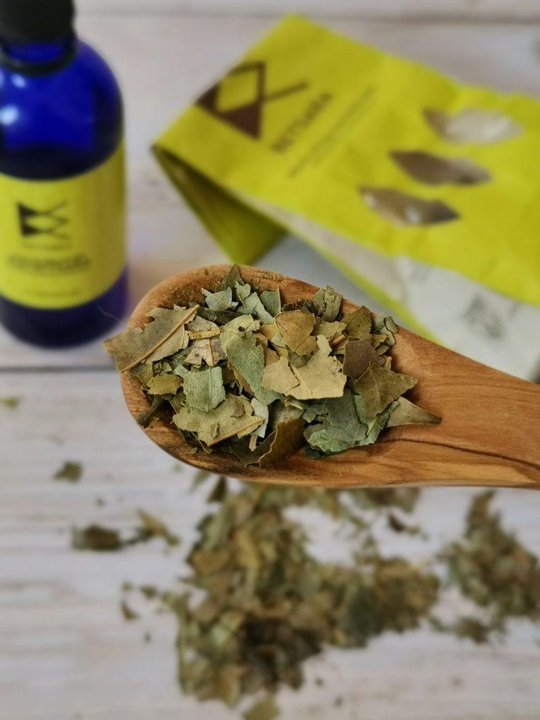 Feuilles séchées de ravintsara utilisées en infusion