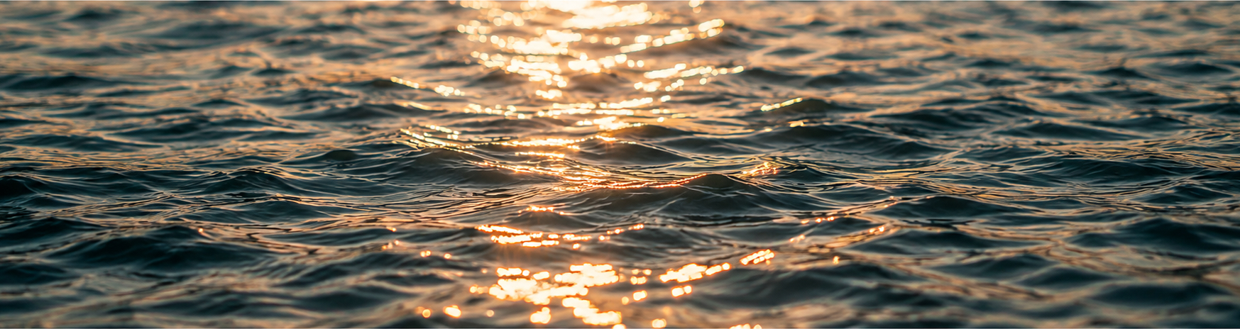 Reflets sur l'eau